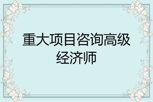 重大项目咨询高级经济师