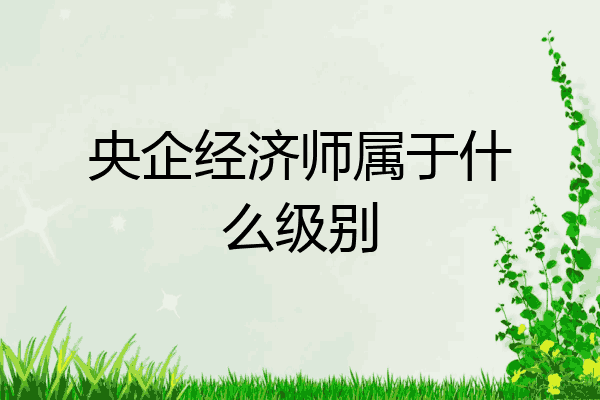 央企经济师属于什么级别