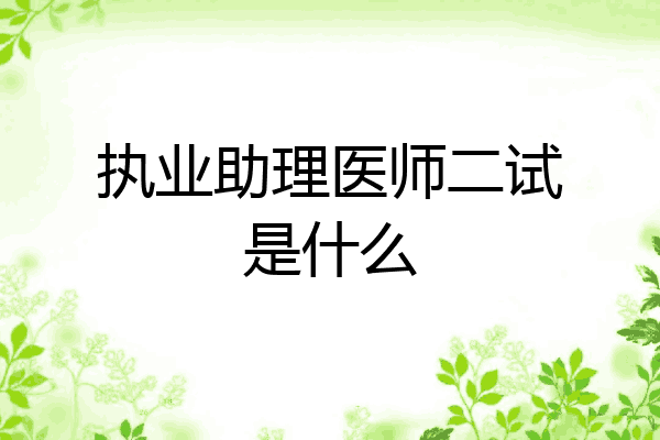 执业助理医师二试是什么