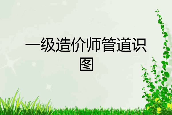 一级造价师管道识图