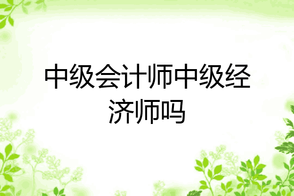 中级会计师中级经济师吗