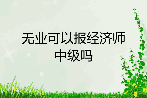 无业可以报经济师中级吗