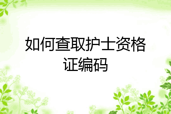 如何查取护士资格证编码