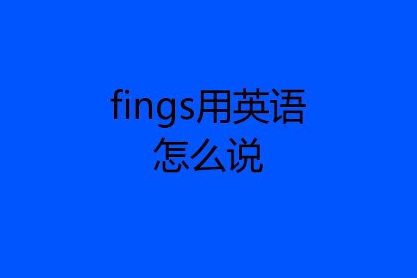 fings用英语怎么说