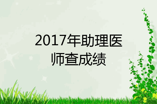 2017年助理医师查成绩