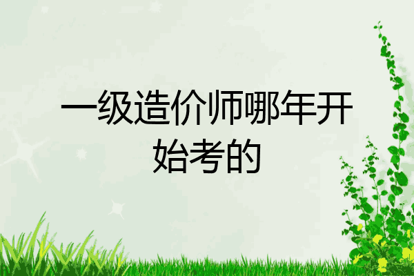 一级造价师哪年开始考的