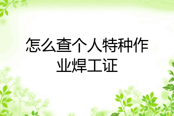 怎么查个人特种作业焊工证