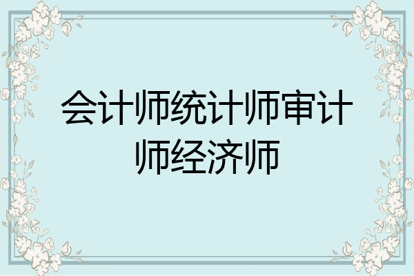 会计师统计师审计师经济师