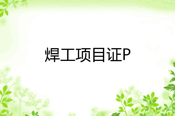焊工项目证P