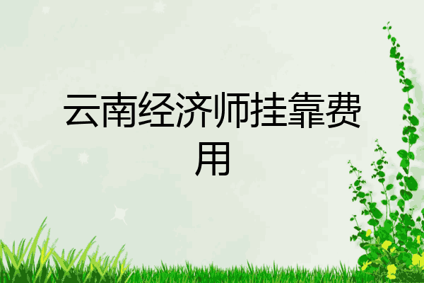 云南经济师挂靠费用