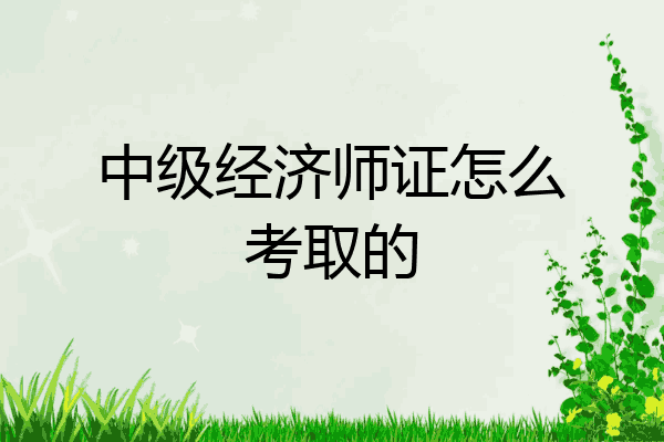 中级经济师证怎么考取的