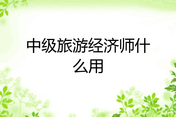 中级旅游经济师什么用