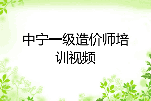 中宁一级造价师培训视频