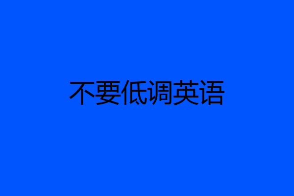 不要低调英语