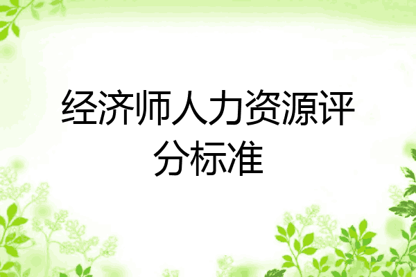 经济师人力资源评分标准