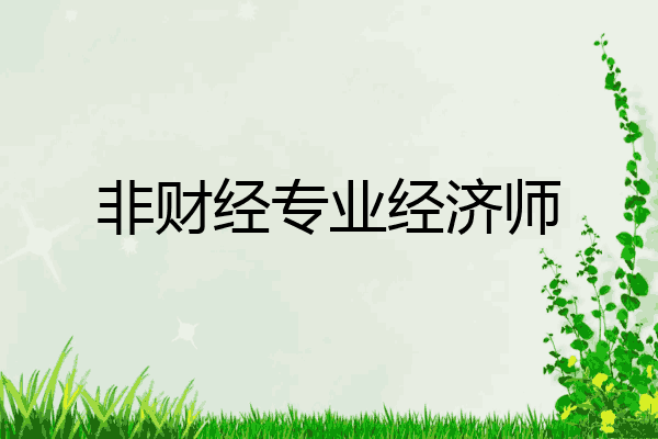 非财经专业经济师