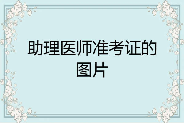 助理医师准考证的图片