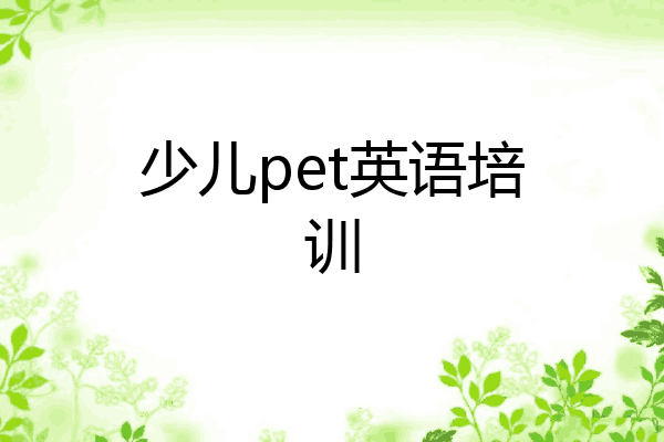 少儿pet英语培训