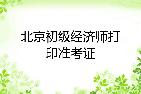 北京初级经济师打印准考证