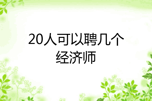 20人可以聘几个经济师