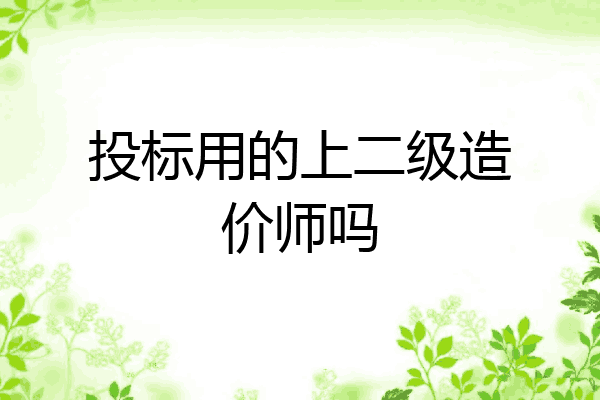 投标用的上二级造价师吗