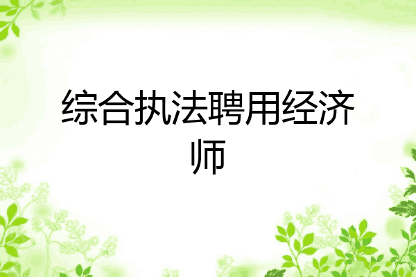 综合执法聘用经济师