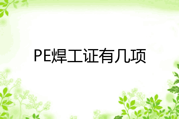 PE焊工证有几项