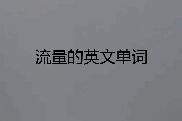 流量的英文单词