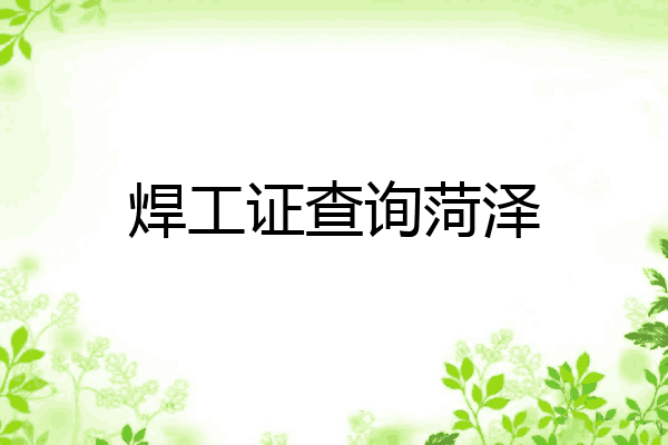 焊工证查询菏泽