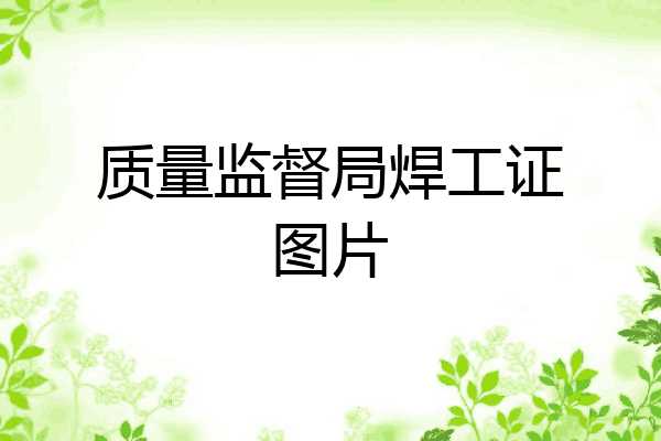 质量监督局焊工证图片