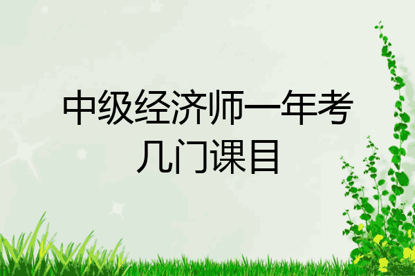 中级经济师一年考几门课目