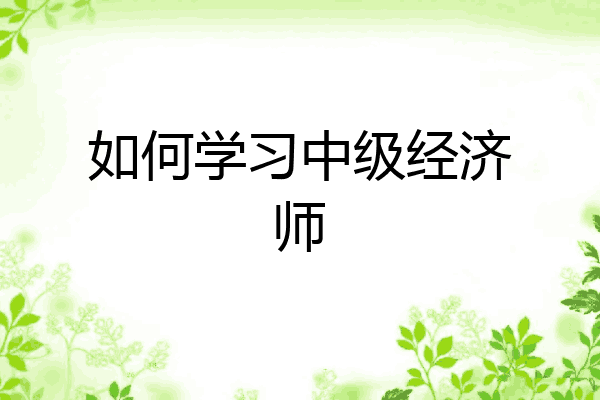 如何学习中级经济师