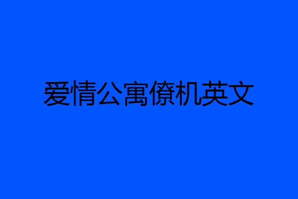 爱情公寓僚机英文