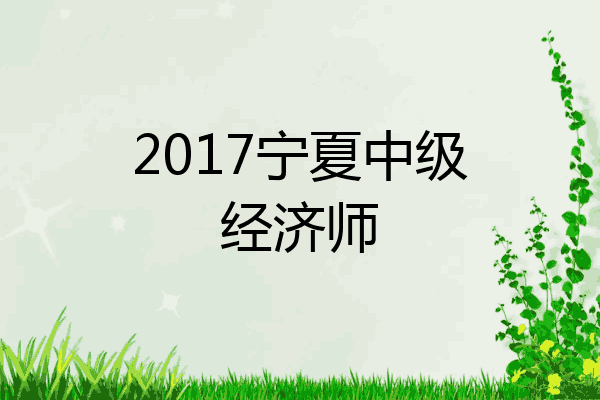 2017宁夏中级经济师