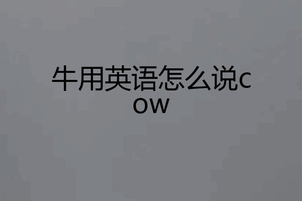 牛用英语怎么说cow