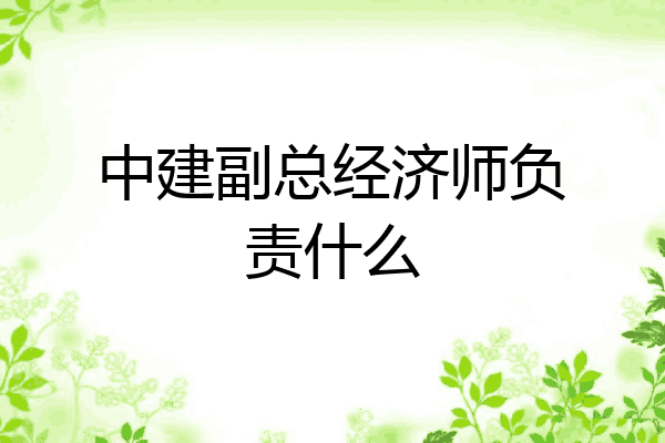 中建副总经济师负责什么