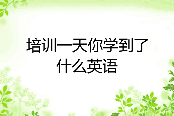 培训一天你学到了什么英语