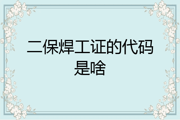 二保焊工证的代码是啥