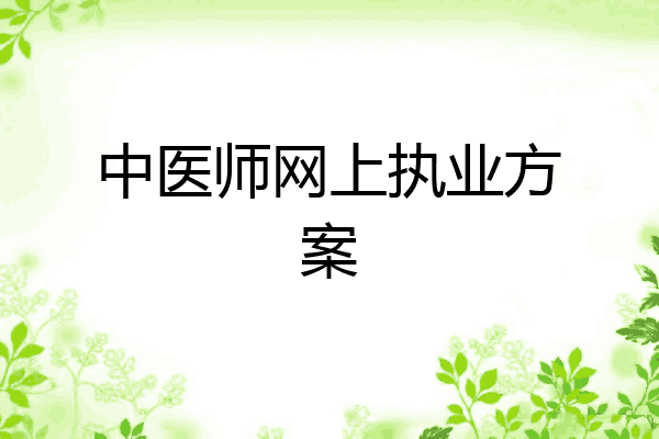 中医师网上执业方案