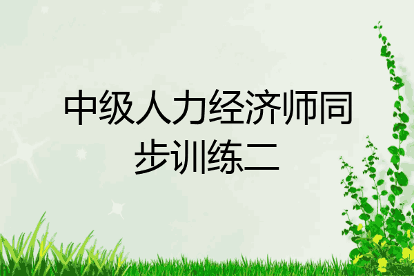 中级人力经济师同步训练二