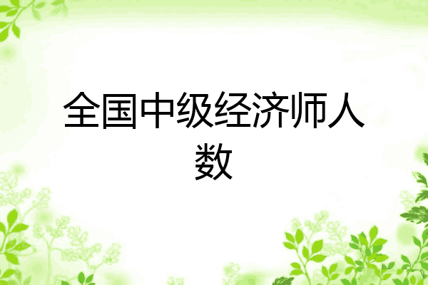 全国中级经济师人数