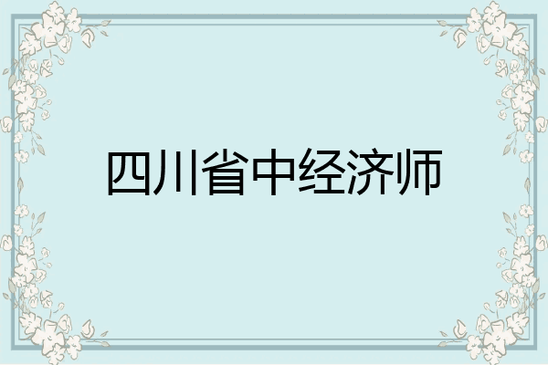 四川省中经济师