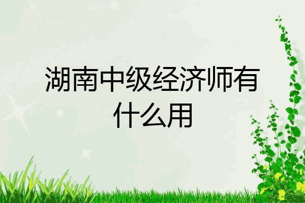 湖南中级经济师有什么用