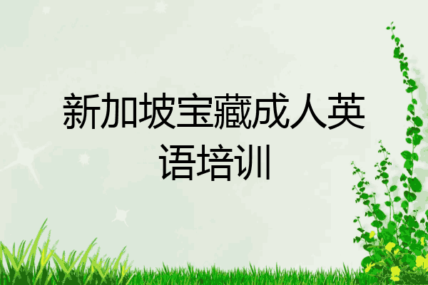 新加坡宝藏成人英语培训