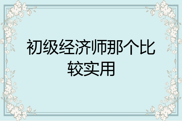 初级经济师那个比较实用