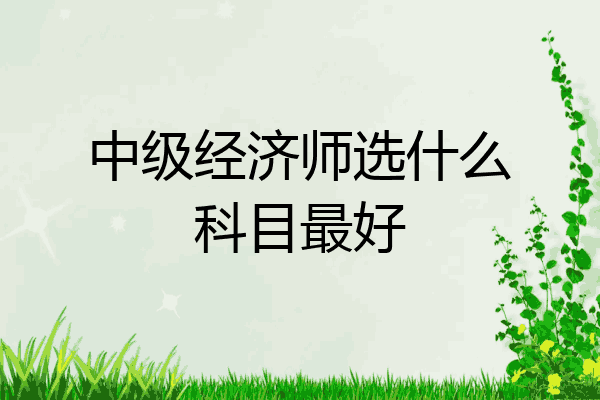 中级经济师选什么科目最好