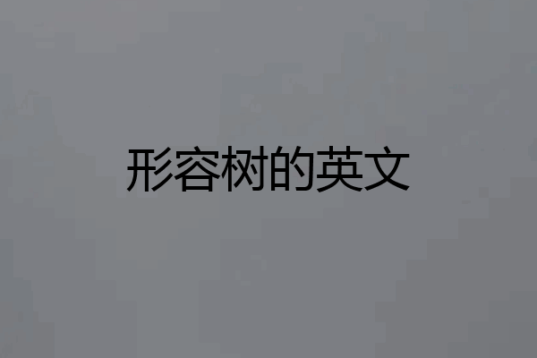 形容树的英文