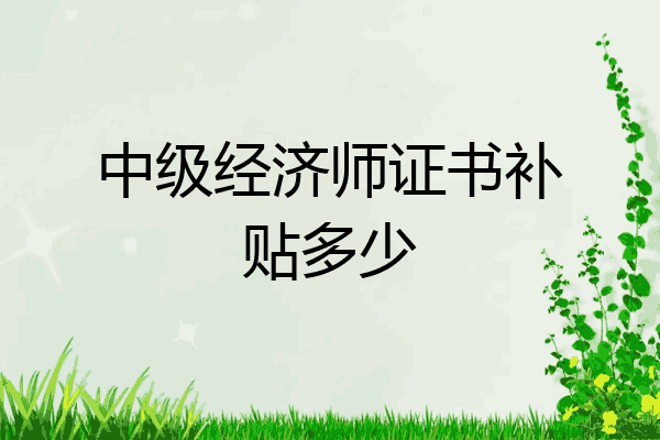 中级经济师证书补贴多少