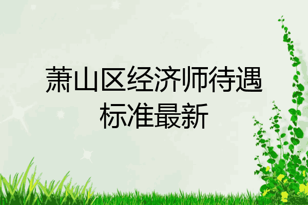 萧山区经济师待遇标准最新