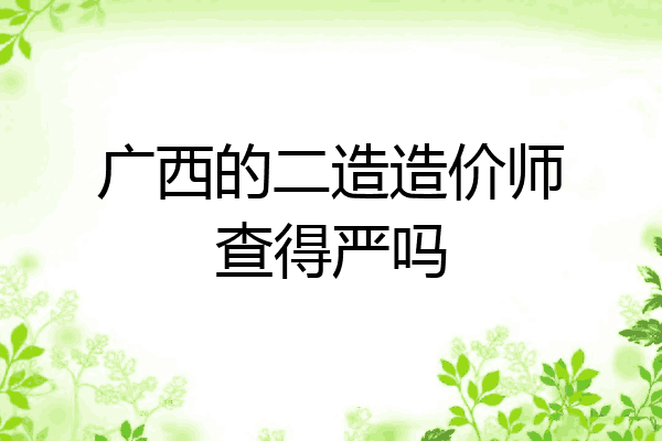 广西的二造造价师查得严吗